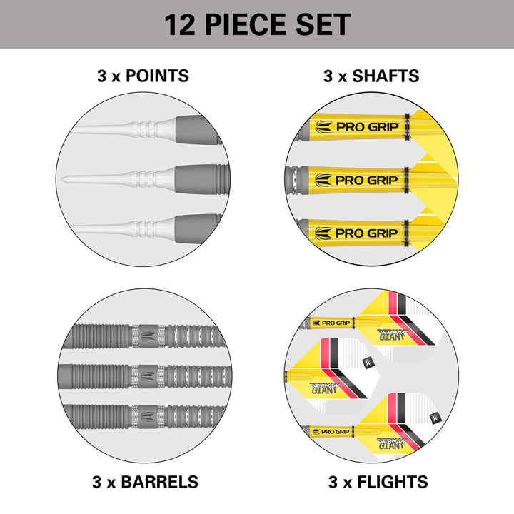 Gabriel Clemens G2 90% Tungsten Soft Tip Darts by Target