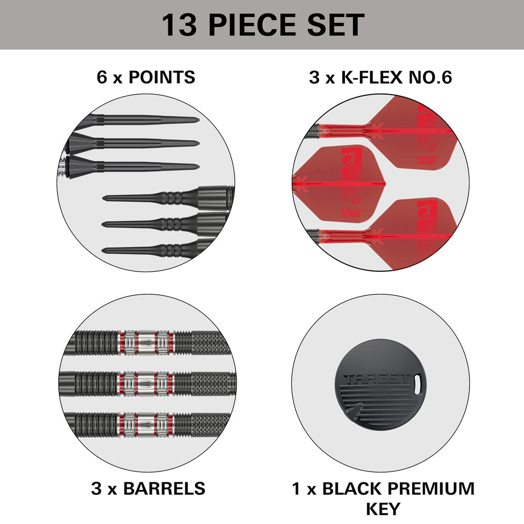 Gabriel Clemens 95K 95% Tungsten Soft Tip Darts by Target