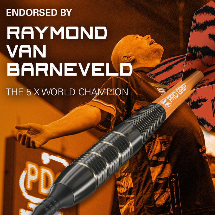 Raymond Van Barneveld RVB Brass Soft Tip Darts by Target