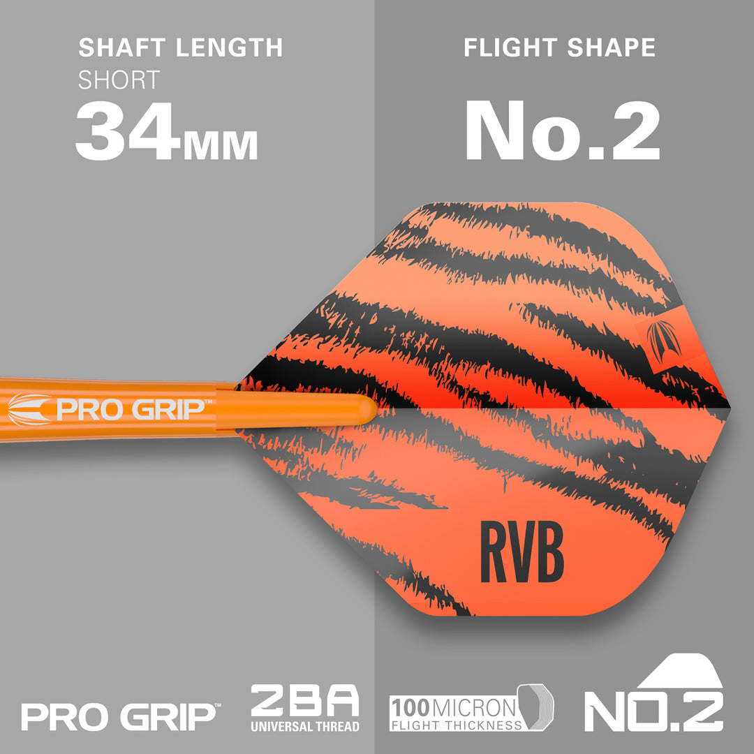 Raymond Van Barneveld RVB Brass Soft Tip Darts by Target